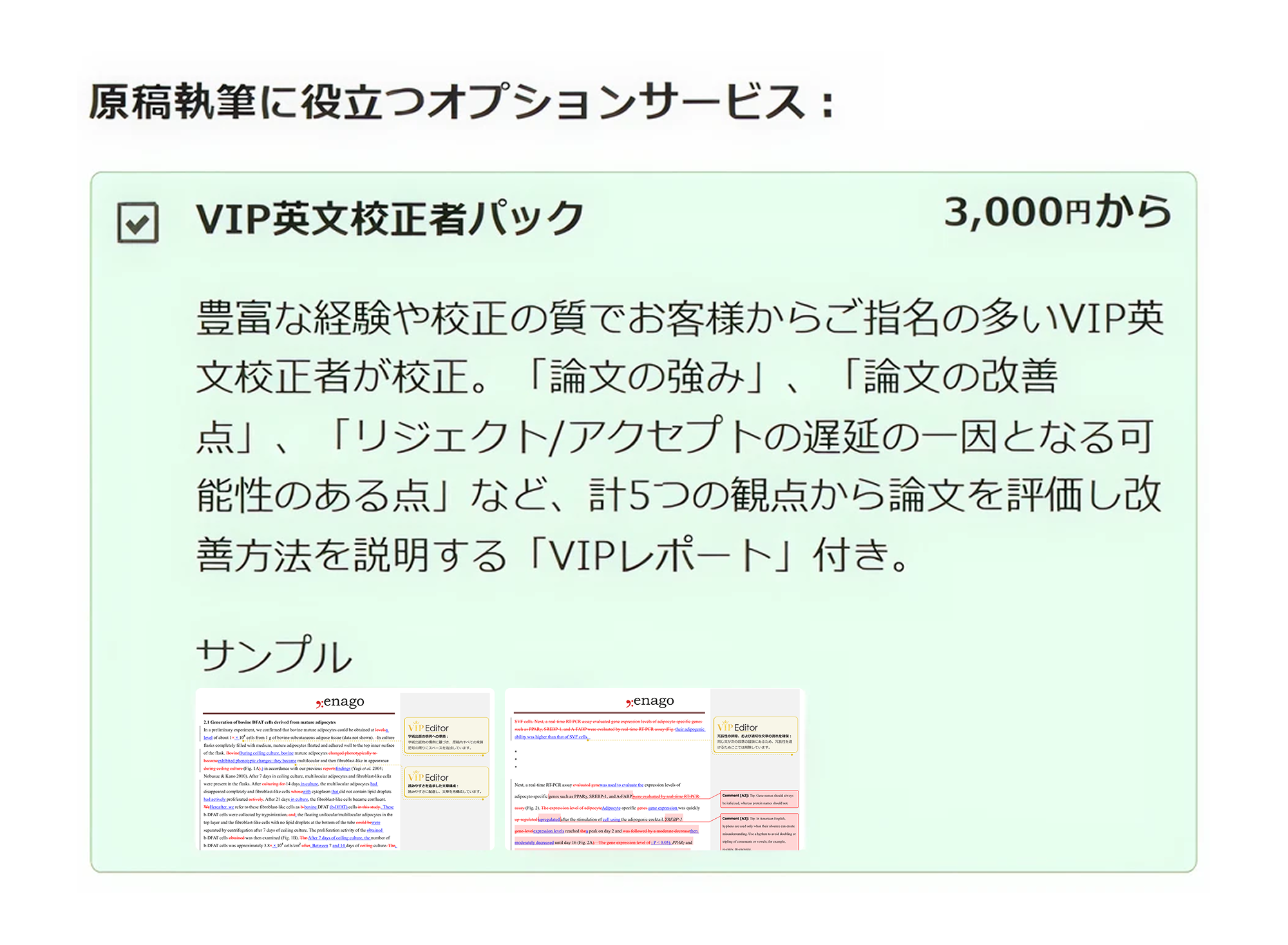 VIP英語校正者